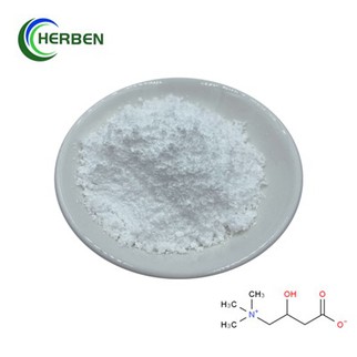 Toorpulbrid L karnitiin