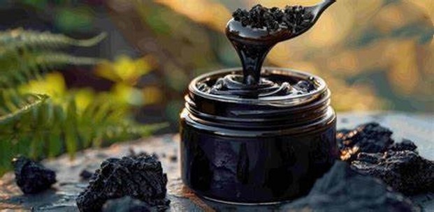 Shilajit Resin Shilajit Resin