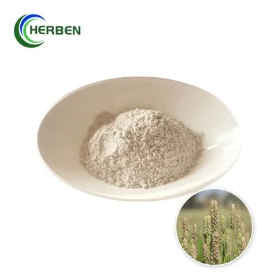 Psyllium Husk pulber