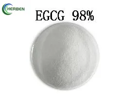 EGCG 98%
